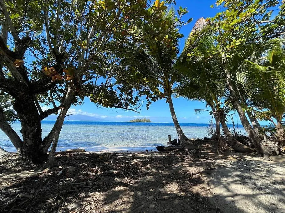 Fare Ariki Moorea Afareaitu 0*,  Fransk Polynesien