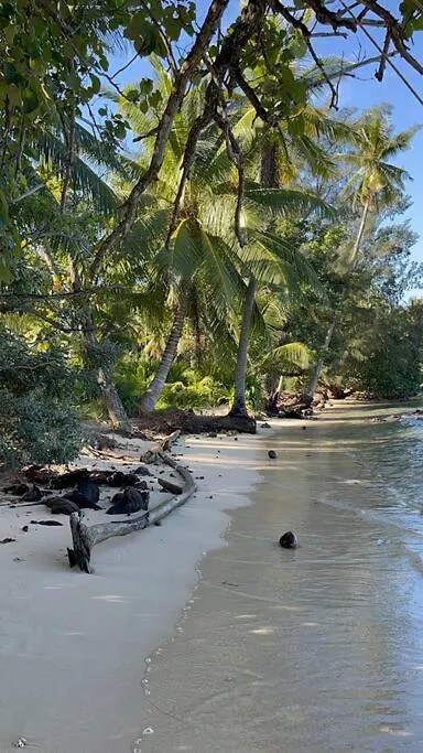 Fare Ariki Moorea Afareaitu