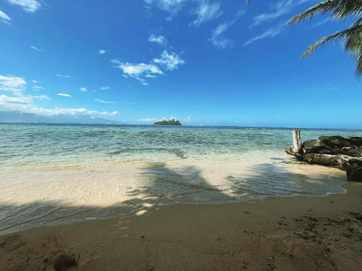 Feriehus Fare Ariki Moorea Afareaitu